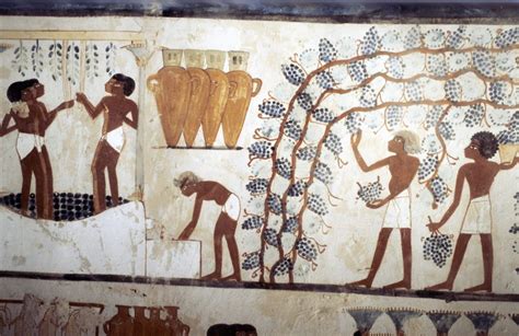 Wine in ancient Egypt - Egypt Museum - wintechmobiles.com