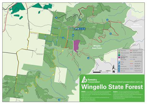 Wingello State Forest Campground - Destination Southern Highlands - raincitystudios.com
