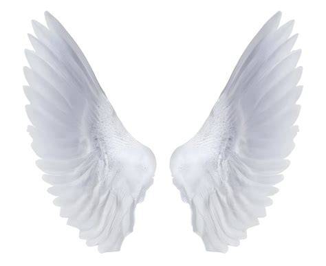 Wings - dynamicaerosolution - raincitystudios.com