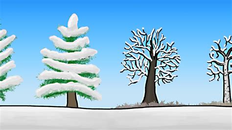 Winter Adaptations of Trees - Michigan Technological University - raincitystudios.com
