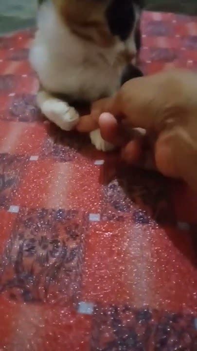 WINTER JADE POV sentuhan mesra & tubuh bergetar panduan pemula pilih film reaksi memukau Baca deskripsi video 19 goyang liar banget image 1