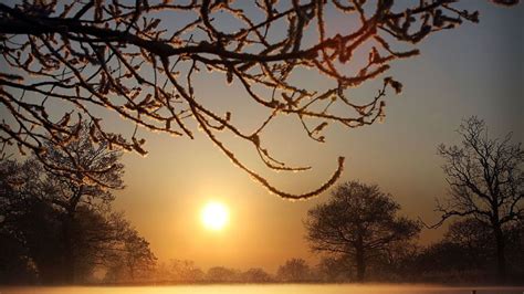 Winter Solstice - Egypt Museum - balustradellc