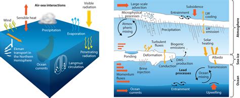 Wintertime ocean–atmosphere interaction processes ... - Springer - raincitystudios.com