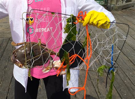 Wire Coat Hanger Casting Crab Trap - Instructables - balustradellc