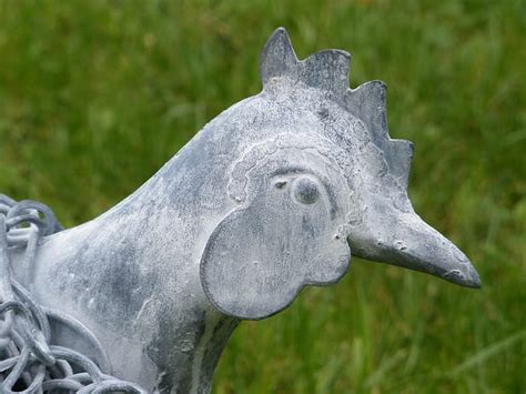 Wire Mesh Netting Chicken Gauze Sculpture Statues - ArtParkS - muktibox.com