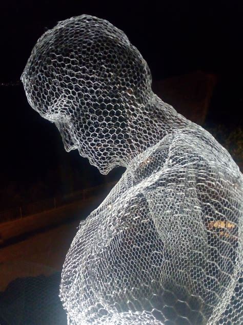 wire mesh sculpture - Art Metal Sculpture - muktibox.com