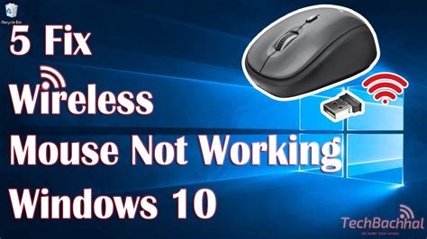 Wireless Mouse not working in Windows 10 - Microsoft Q&A - muktibox.com