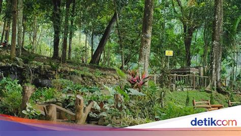 Wisata Alam 'All in One' di Lereng Gunung Arjuno - balustradellc