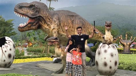 Wisata Alam Menarik di Purwokerto untuk Ketenangan - balustradellc