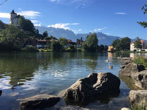 Wisata dan Liburan 2025 di St. Gallen, Swiss - Tripadvisor - balustradellc