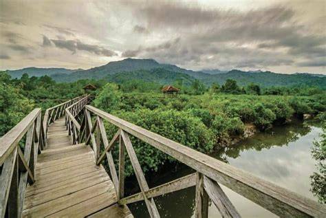 Wisata Hutan Bakau Pancer Cengkrong - - raincitystudios.com