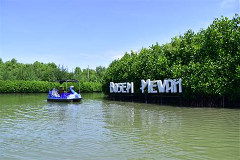 Wisata Mangrove Surabaya: Panduan Liburan Alam di Kota - Traveloka - balustradellc