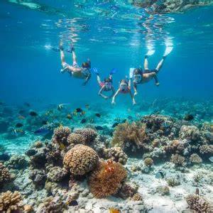 Wisata Snorkeling Murah Pemula - raincitystudios.com