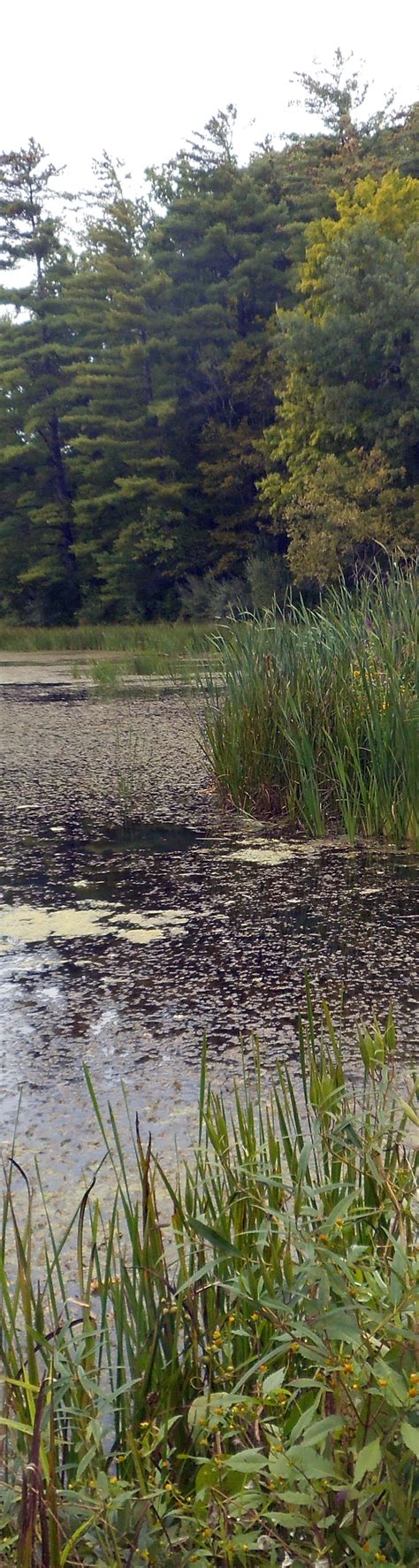 WISCONSIN WETLANDS ASSESSMENT REPORTS AND MAPS - wintechmobiles.com