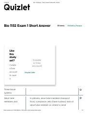 WMST Exam 1- Short Answer Flashcards Quizlet