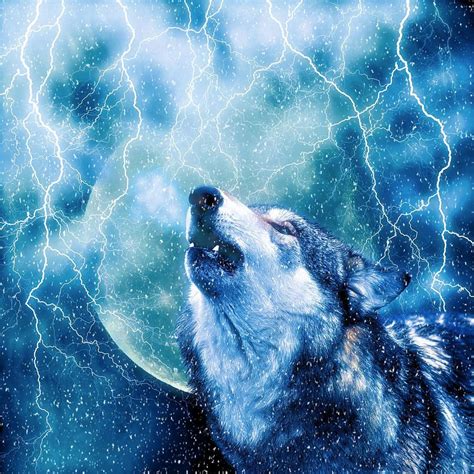 WOLF LIGHTNING