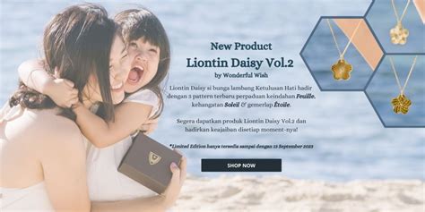 Wonderful Wish - Wonderful Wish - muktibox.com