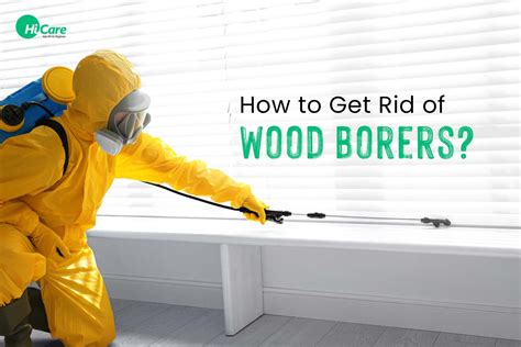 Wood Borer Treatment Home Remedy - [Mom Prepared] - balustradellc