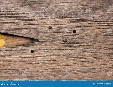 Wood Boring Beetle Holes - CGS Connect - balustradellc