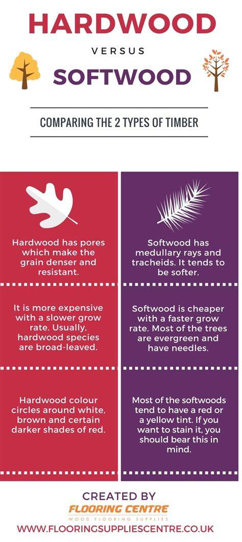 Wood Characteristics: A Guide to Hardwoods vs. - raincitystudios.com