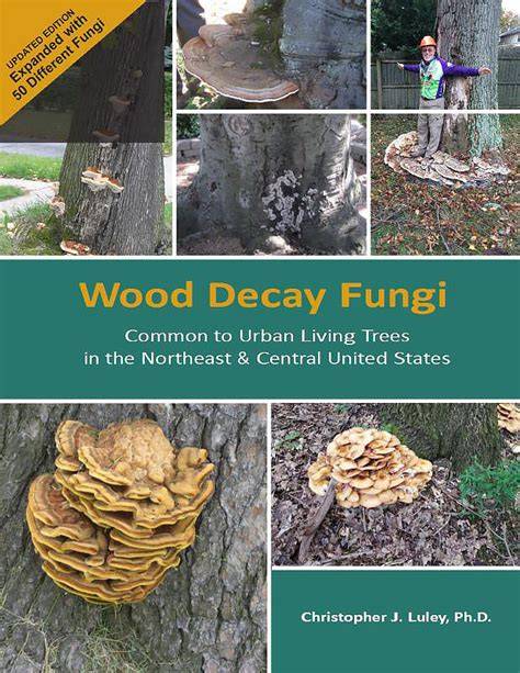 Wood decay fungi and their bacterial interaction partners in the built ... - raincitystudios.com