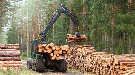 Wood Harvesting - raincitystudios.com