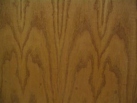 Wood ID Basics - Alden Identification Service - raincitystudios.com