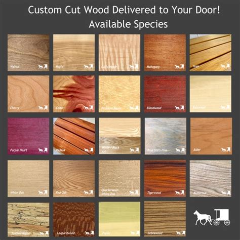 Wood Identification Guide | Nature & Materials - balustradellc