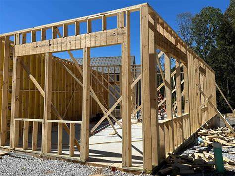 Wood - Cellulose, Lignin, Tracheids | Britannica - raincitystudios.com