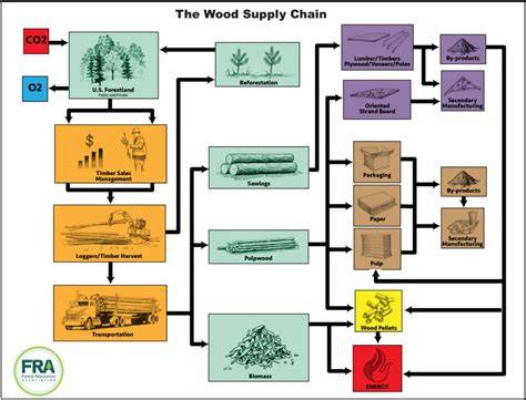 Wood Supply Chain Schematic - Forest Resources … - raincitystudios.com