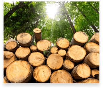 Wood treatment designed for maximum solubility - U.S. - balustradellc