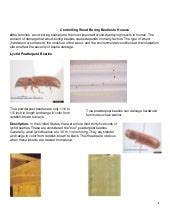 Wood-Boring Beetles in Homes Management Guidelines--UC IPM - balustradellc