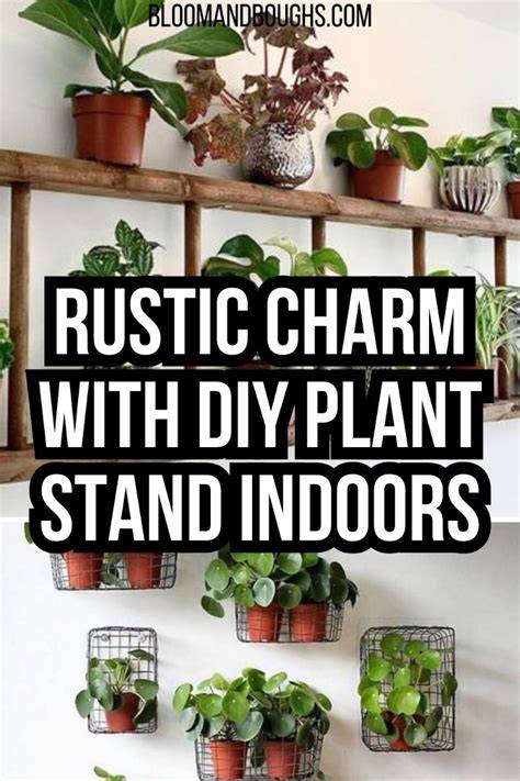 Wood-Frame Plant Stands for Rustic Charm Indoors - raincitystudios.com