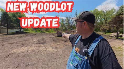 Woodlot - environment-database.eu - raincitystudios.com