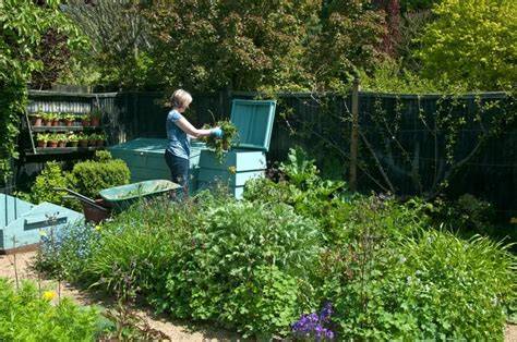 Woody Waste: Shredding and Composting | RHS … - raincitystudios.com