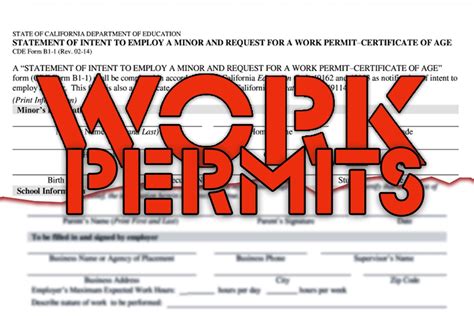 Work permits | The Official Platform of the UAE Government - balustradellc