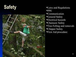 Working techniques and safety when felling trees - raincitystudios.com
