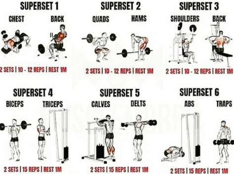 Workout at Gym or home for beginners . #gymmotivation #workout #gym - balustradellc
