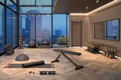 Workout Luxe: The Best Luxury Home Gym Equipment - balustradellc