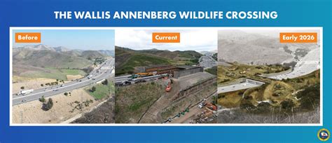 World’s Largest Wildlife Crossing is Coming to California - raincitystudios.com