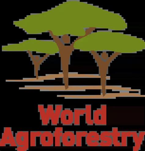 World Agroforestry | Transforming lives and landscapes with trees - raincitystudios.com