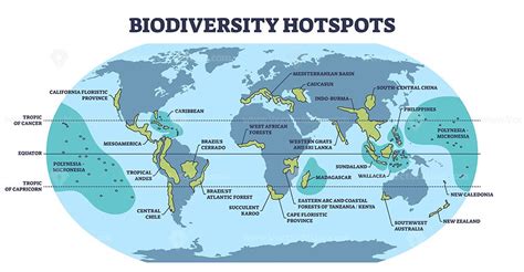 World Biodiversity Hotspots Map - wintechmobiles.com