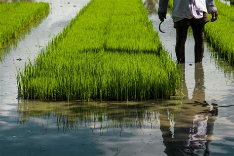 World Water Day: Why data is key to making decisions about food and ... - wintechmobiles.com