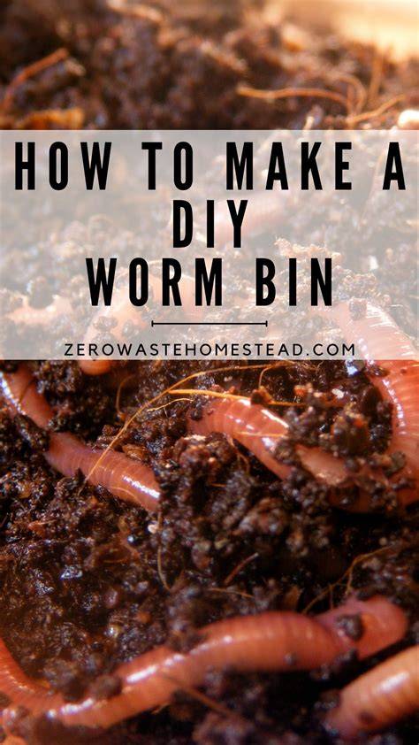 Worm Farming for Beginners | How to Start … - raincitystudios.com