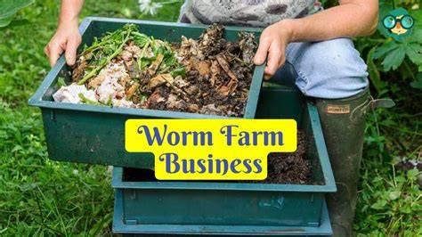 Worm Farms - Bunnings Australia - raincitystudios.com
