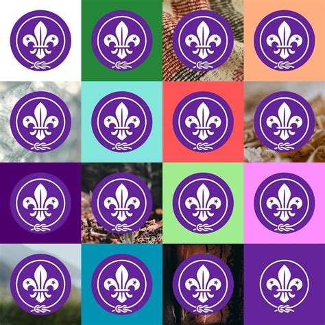 WOSM - World Scouting - balustradellc