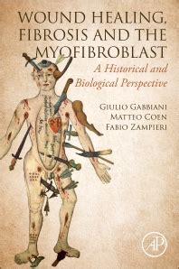 Wound Healing, Fibrosis, and the Myofibroblast: A Historical and ... - muktibox.com