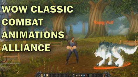 WOW CLASSIC Alliance Combat Animations (Melee …