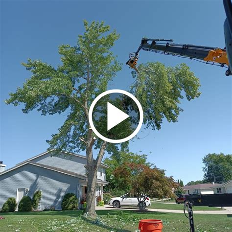 WPS Tree Service: Robotic Tree Removal - Milwaukee, WI