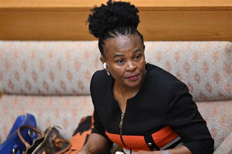 WRAP State Security minister warned Mkhwebane that IGI ... - News24